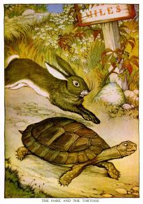 hare-and-tortoise-694263